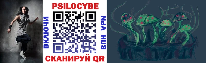 Галлюциногенные грибы Psilocybe  Мглин 